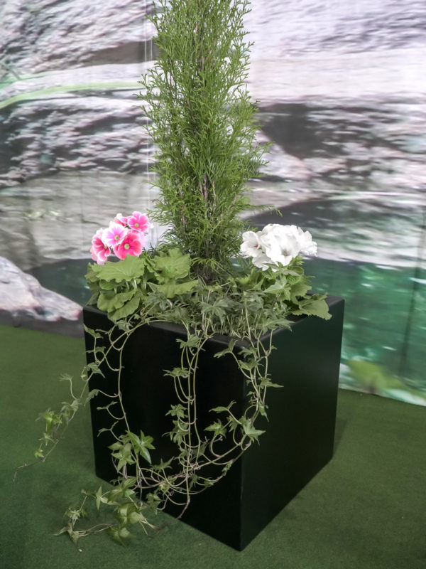 Blomsterkasse kvadrat - Bilde 12