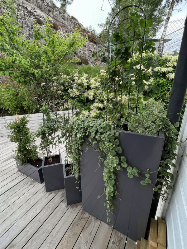 Blomsterkasse smal - Bilde 18