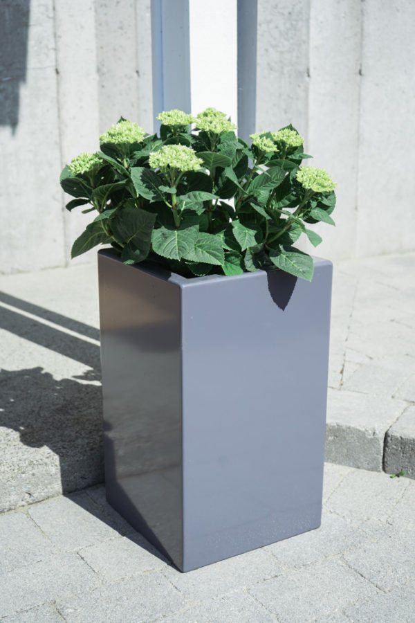 Blomsterkasse søyle - Bilde 2
