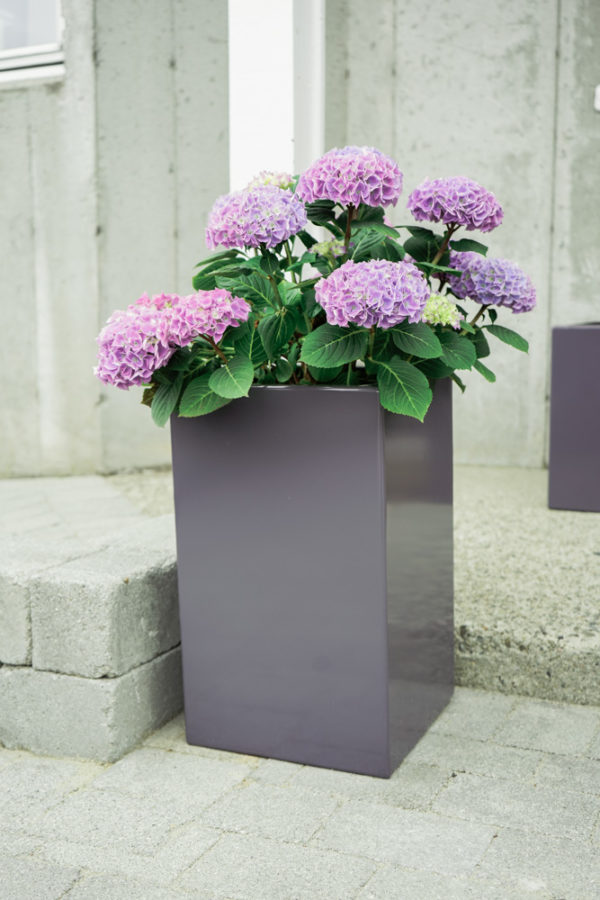 Blomsterkasse søyle